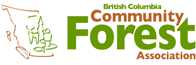 bccfa_logo