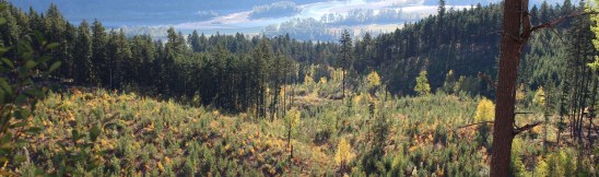 2017-10banner1200pix