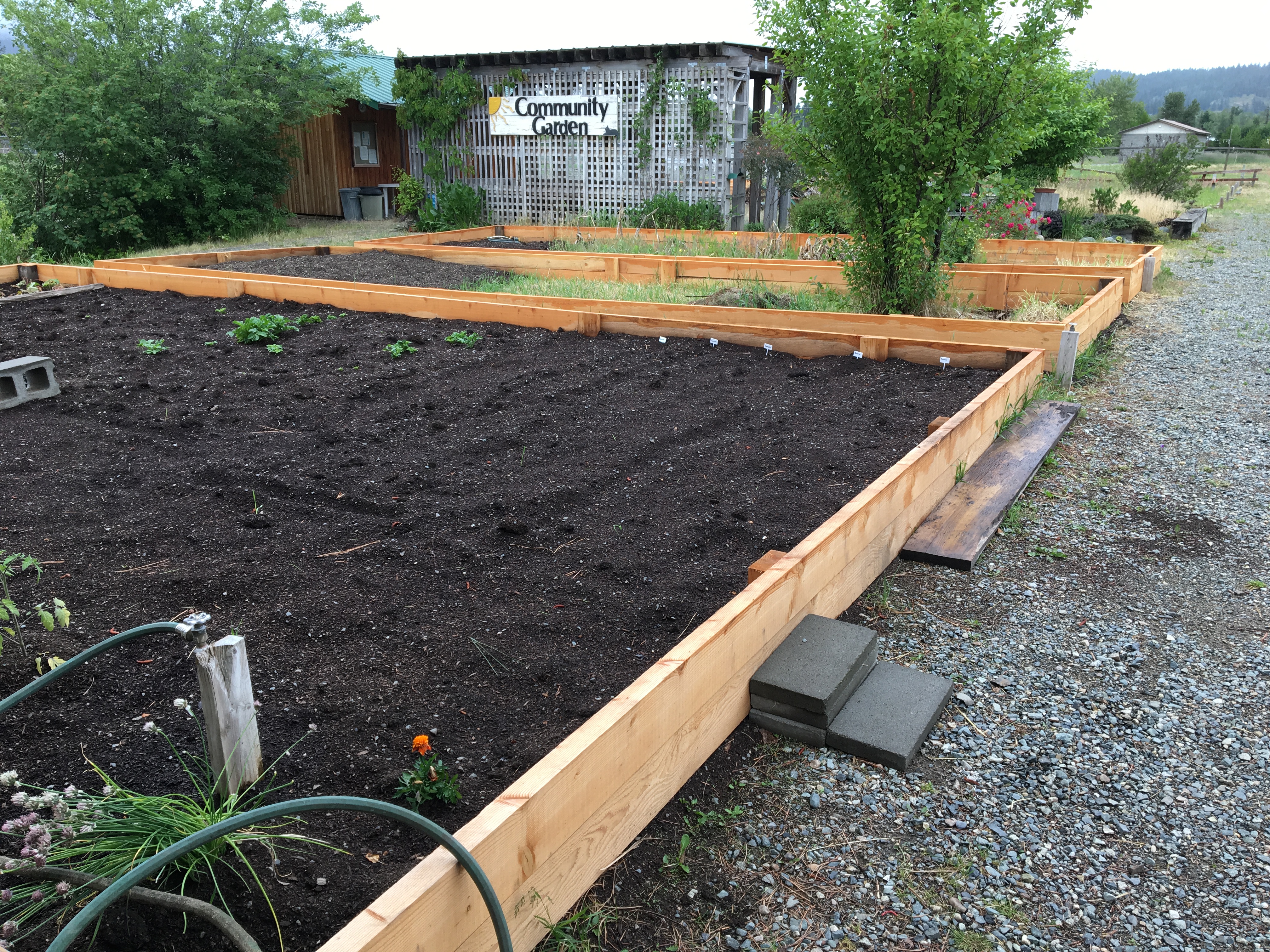 2018-06-14 07.34.47.jpg