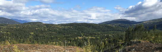 2019-09-30 12.05.49cropped2